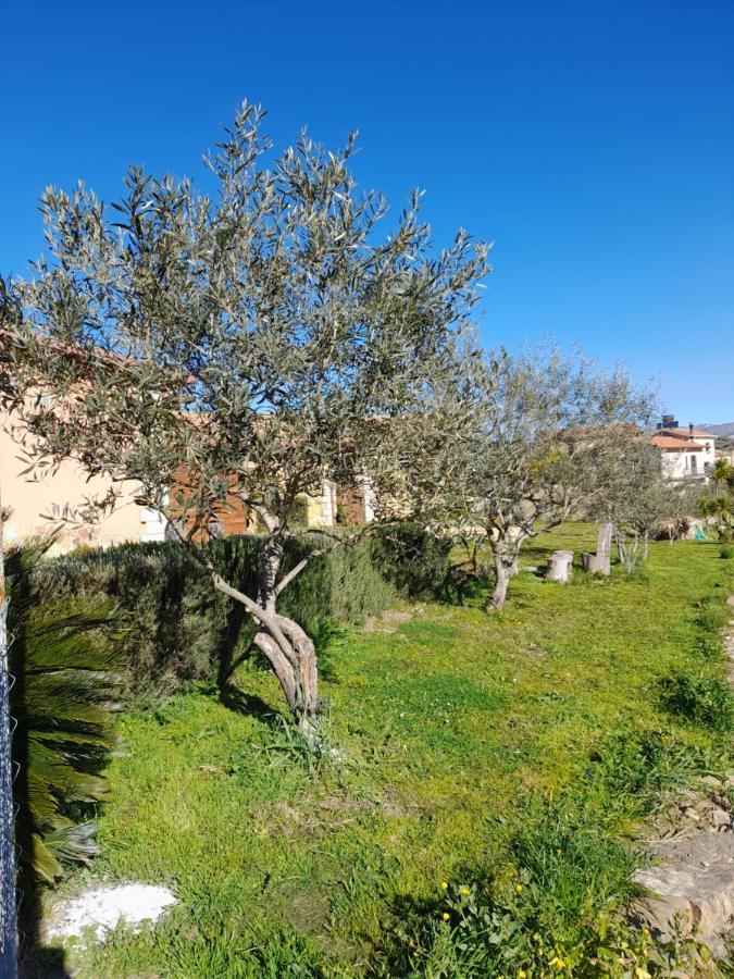 Agriturismo La Stragola Nicosia Εξωτερικό φωτογραφία