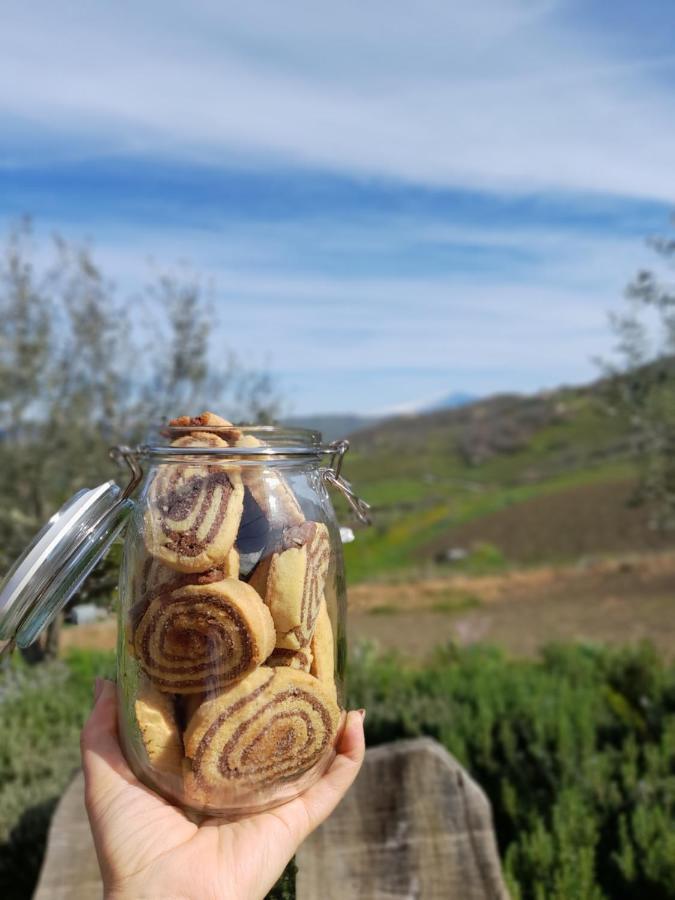 Agriturismo La Stragola Nicosia Εξωτερικό φωτογραφία