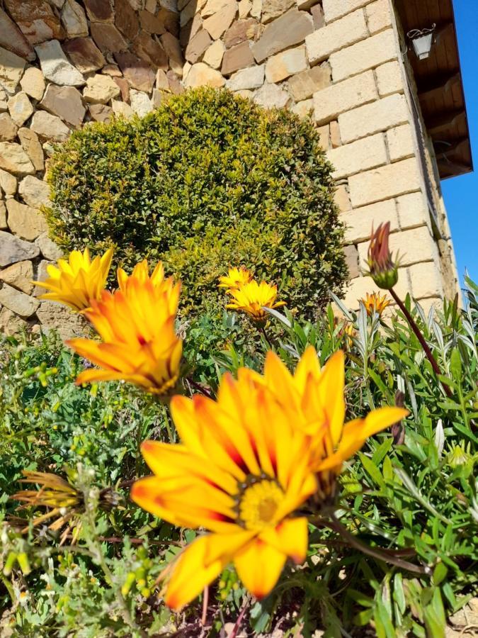 Agriturismo La Stragola Nicosia Εξωτερικό φωτογραφία