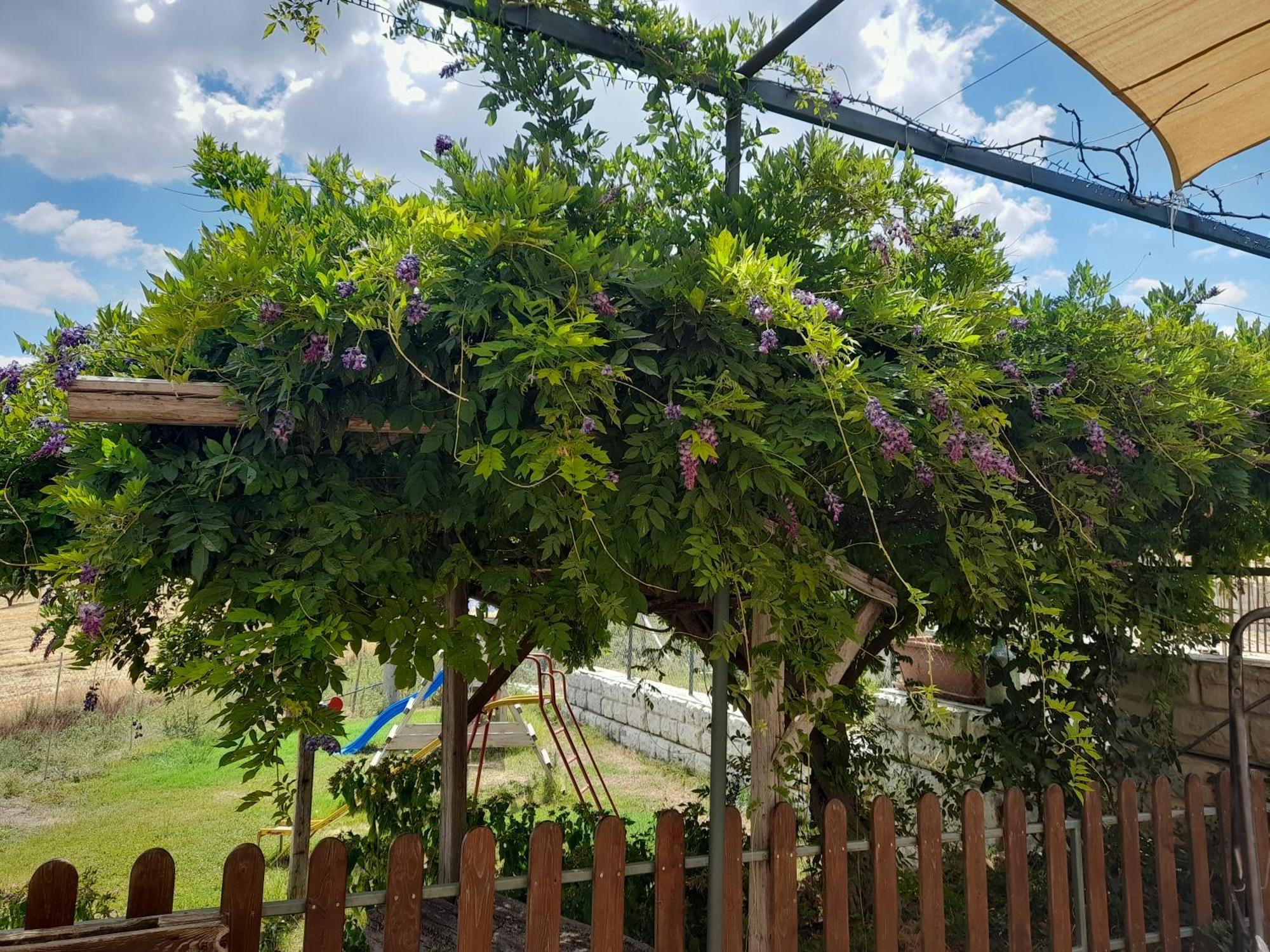 Agriturismo La Stragola Nicosia Εξωτερικό φωτογραφία
